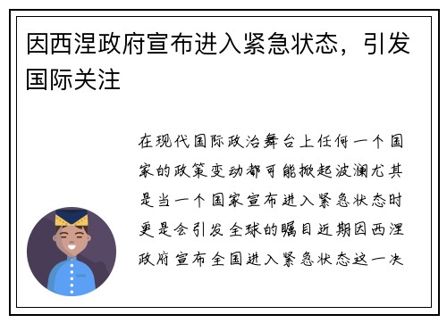 因西涅政府宣布进入紧急状态，引发国际关注